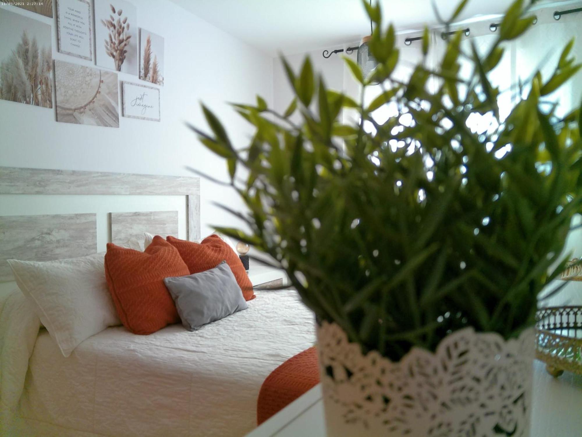 Apartment Deltafamily ¡ Barbacoa,piscina, Wifi Chromecast !!